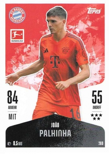 260 João Palhinha ( MABL24/25 )