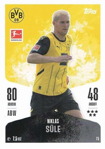 075 Niklas Süle ( MABL24/25 )