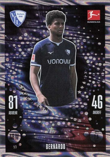 053 Bernardo – Starspieler ( MABL24/25 )