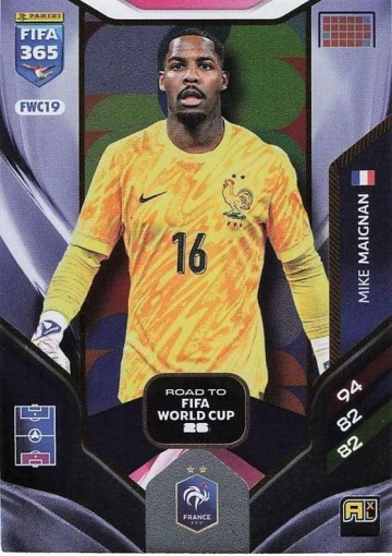 FWC19 Mike Maignan (France) (PF365AXL26)