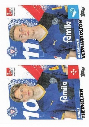 339 Jonas Therkelsen / Alexander Bernhardsson (TSBL2526)
