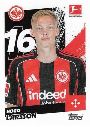077 Hugo Larsson (TSBL2526)