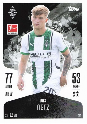 239 Luca Netz ( MABL24/25 )